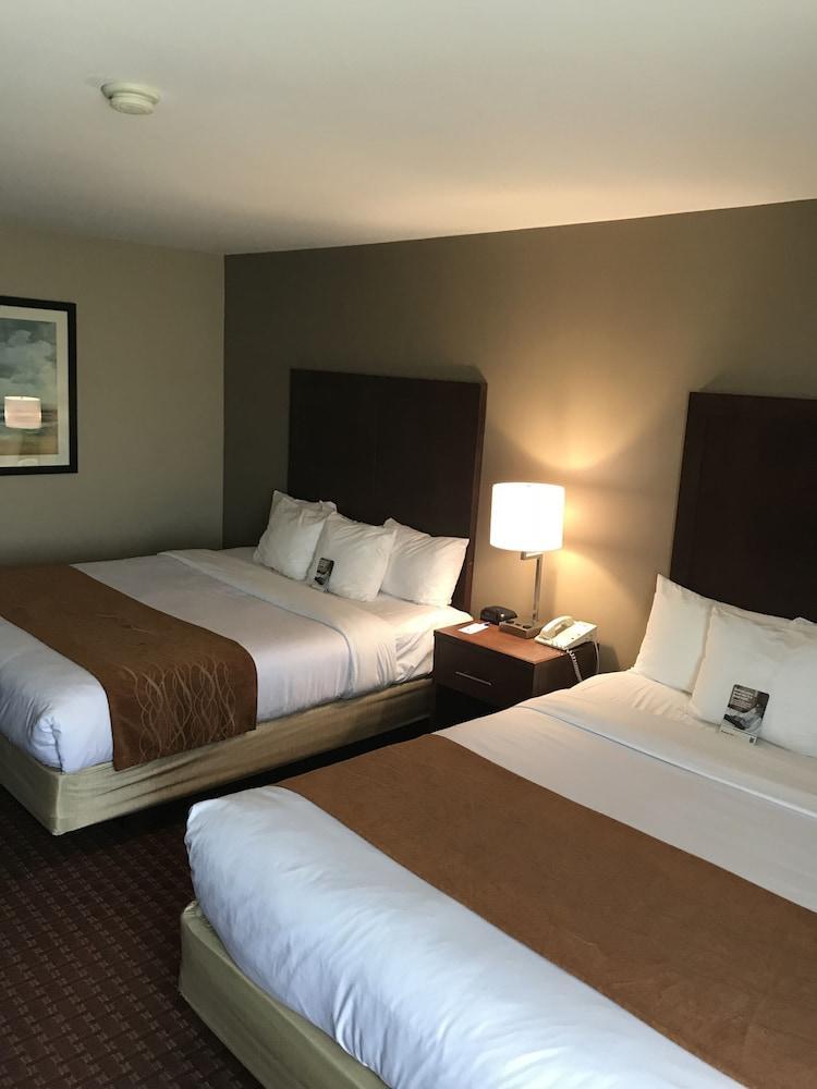 Comfort Inn Silicon Valley East Фремонт Екстер'єр фото