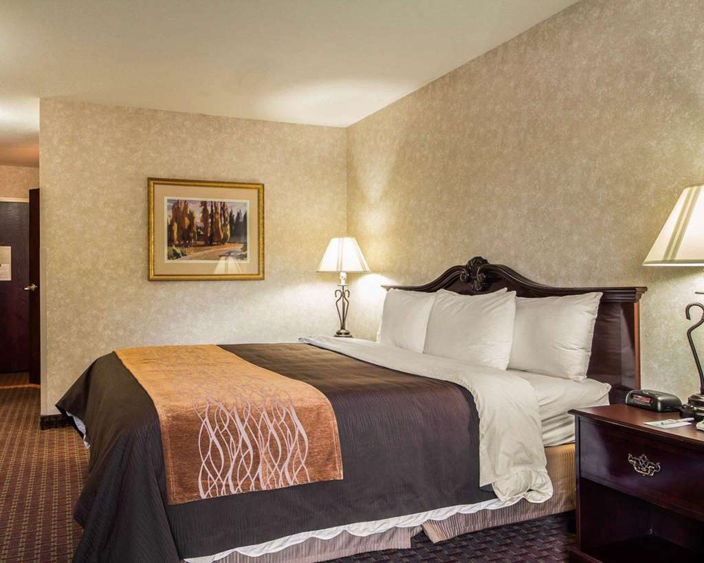 Comfort Inn Silicon Valley East Фремонт Номер фото