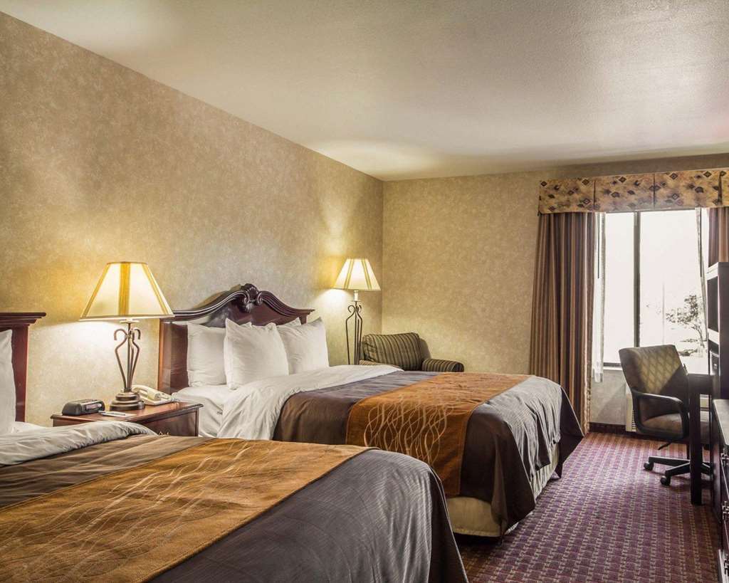 Comfort Inn Silicon Valley East Фремонт Номер фото