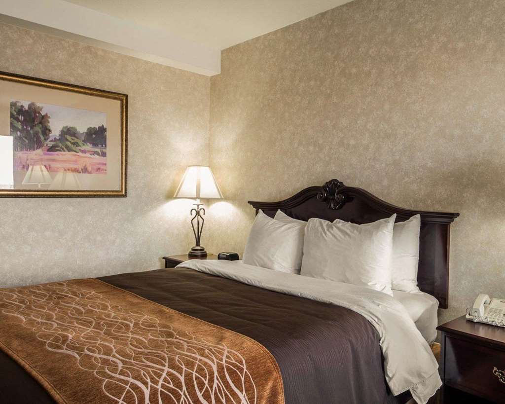 Comfort Inn Silicon Valley East Фремонт Номер фото