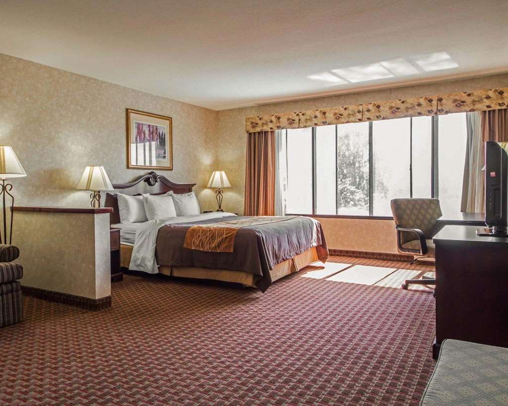 Comfort Inn Silicon Valley East Фремонт Номер фото