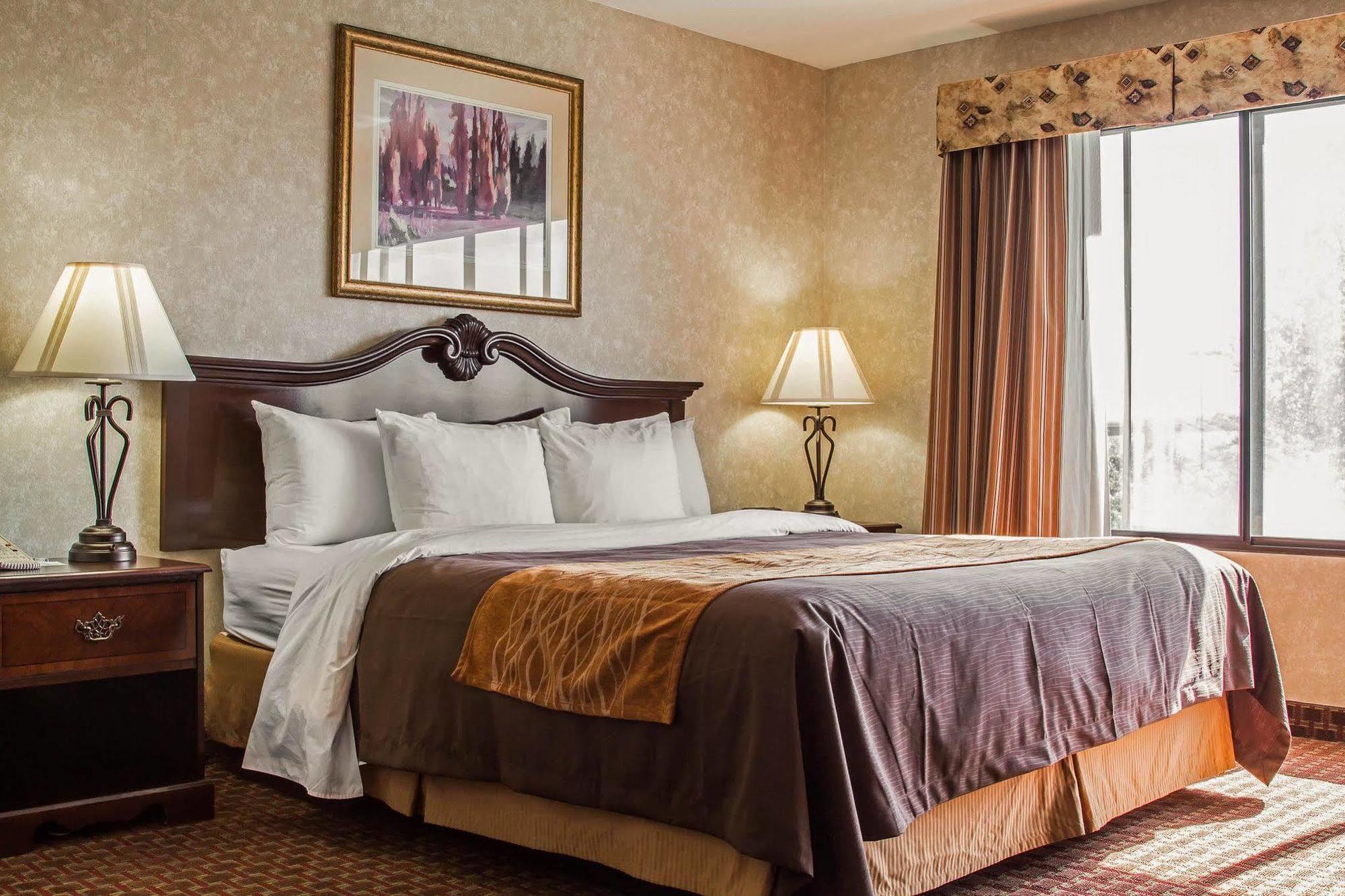 Comfort Inn Silicon Valley East Фремонт Екстер'єр фото